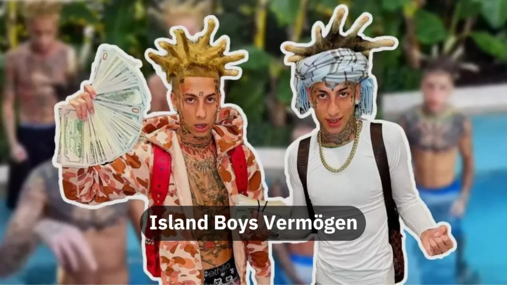 Island Boys Vermögen