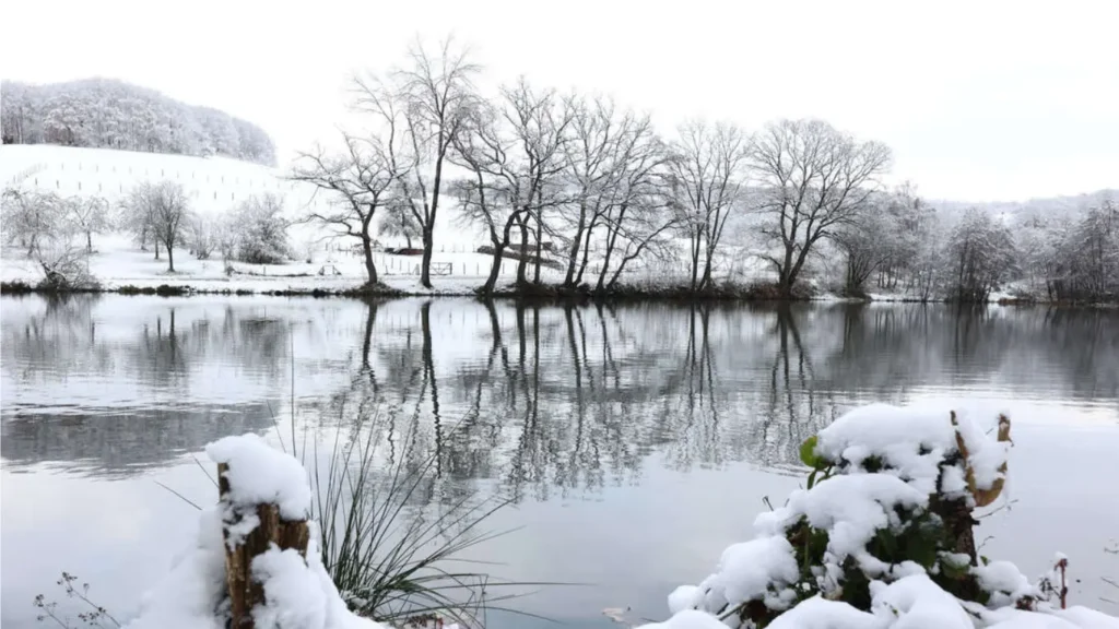 Wintereinbruch mit viel Schnee